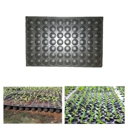 Siddhi 70 Cavities (Round Shape- Big Size) Reusable Plastic Seedling Tray for Nursery and Gardening(Pack-AfmBOoqIoO2D9knW_cNEBEWPD7PTjdcLkjIo9uv2CaS1JFKlGslNP7YB)